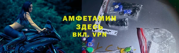 прущие грибы Липки