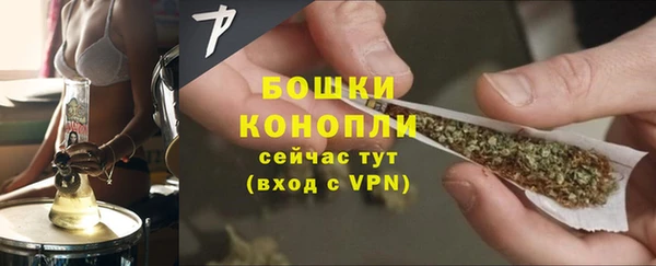 прущие грибы Липки