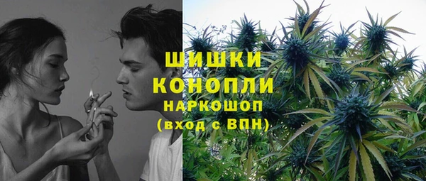 прущие грибы Липки