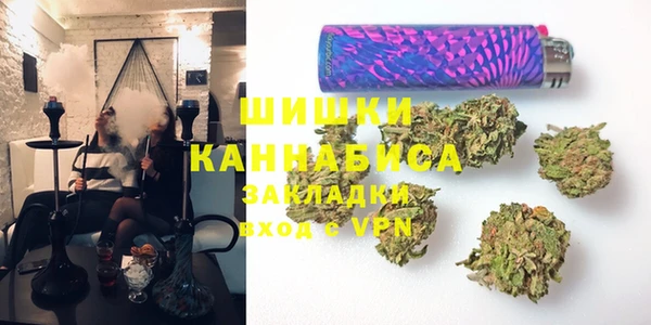 прущие грибы Липки