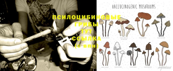 прущие грибы Липки