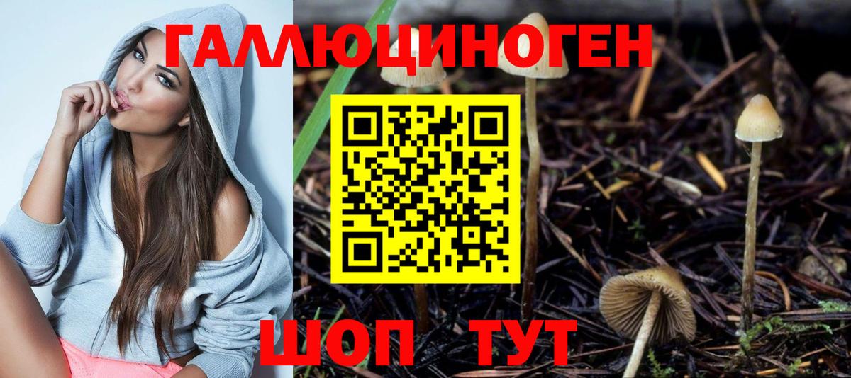 Псилоцибиновые грибы мицелий Южно-Сахалинск
